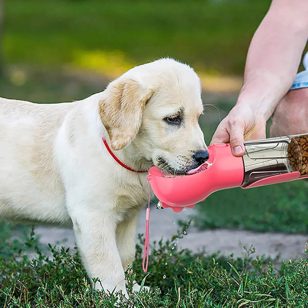 Botella 4‑en‑1 Mascotas